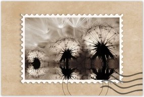 Poszterek 60x40 Pitypangok szépia papírsárkányok