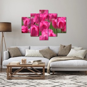 Kép - Rózsaszín tulipánok (150x105 cm)