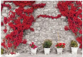 Fotótapéta virág fal fotótapéta 312 x 219