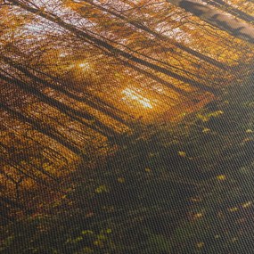 Egy őszi erdő képe (90x60 cm)