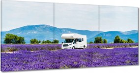 Festmények 180x90 Lakókocsi a levendulamezők között