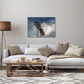 Kép - Pálma dráma (üvegen) (70x50 cm)