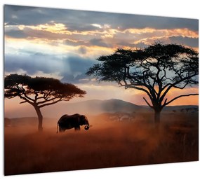 Kép - Serengeti Nemzeti Park, Tanzánia, Afrika (üvegen) (70x50 cm)