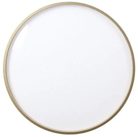 LED Mennyezeti lámpa FLORIDA LED/18W/230V fekete