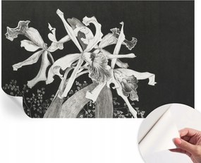 Öntapadós fali fotótapéta Hálószoba Orchidea illusztráció 416x254