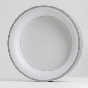 Brilagi - LED Dimmelhető mennyezeti lámpa LED/40W/230V 3000-6500K ezüst + távirányító