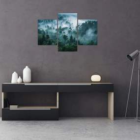 Kép - Erdő ködben (90x60 cm)