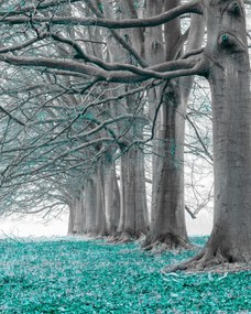 Poszter 40x50cm Fák egy sorban türkiz levelek, Assaf Frank