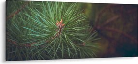 Kép - Fenyőfa részlete (120x50 cm)