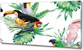 Fotó-üvegkép Trópusi madarak 100x70