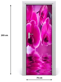 Ajtóposzter rózsaszín orchidea 95x205 cm