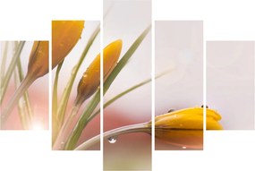 Kép - Tavaszi virágok (150x105 cm)