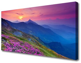 Vászonkép nyomtatás Mountain Meadow Virág Tájkép 100x50 cm