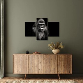 Kép - Gorilla (90x60 cm)
