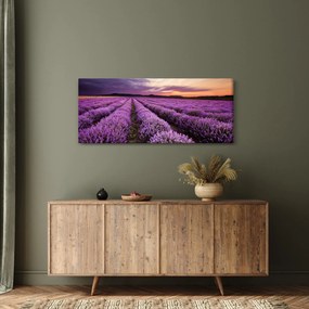 Kép - Levendulamező naplementében (120x50 cm)