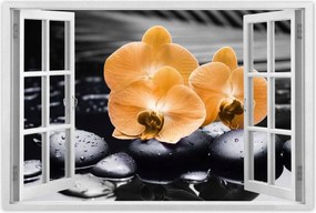 Poszterek 120x80 Narancssárga orchideák