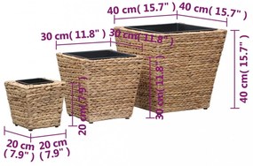 3 db vízijácint növénytartó