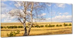 Festmények 120x60 Nyírfa a mezőn Tájkép