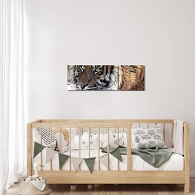 Tigris képe (órával) (90x30 cm)