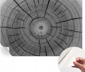 Fotótapéta Fali tapéta Hálószobába és Nappaliba Erdei harmónia 152x104 cm