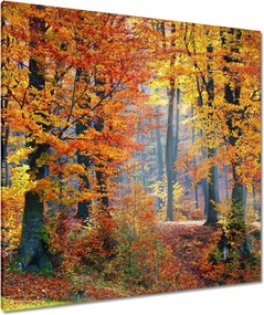 Vászonkép 90x90 Arany ősz