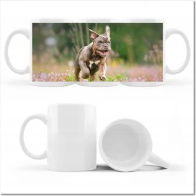 Kutyás fényképes bögre Kutyák