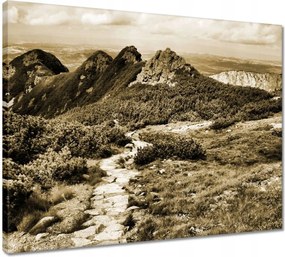 Vászonkép 50x40 Tátra Lengyel hegyek Kilátás