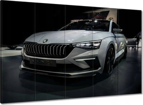 Képek 100x70 Skoda Autó