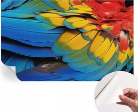 Dekoratív öntapadós fotótapéta irodába Szivárvány tollak 416x254 cm