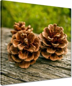 Vászonkép 40x40 Tobozok a kertben