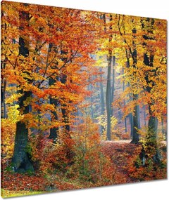 Vászonkép 80x80 Arany ősz