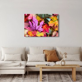 Kép - őszi levelek (90x60 cm)