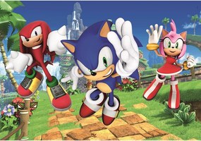 Sonic a sündisznó Amy Rose 104 db-os puzzle Clementoni