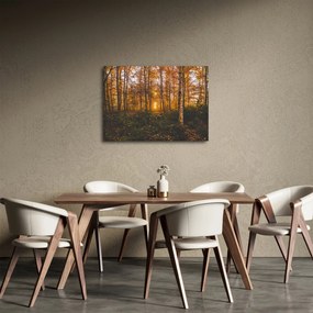 Egy őszi erdő képe (70x50 cm)
