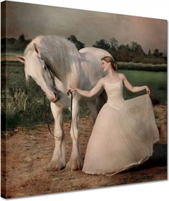 Vászonkép 30x30 Ló Lovak Lovaglás