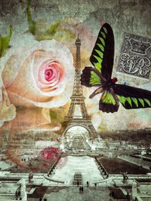 Poszter 30x40cm Eiffel-torony 2, Assaf Frank