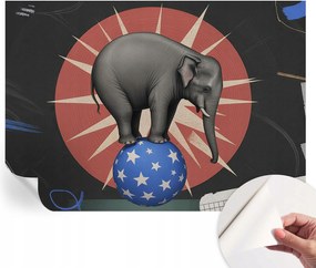 Fotótapéta Dekoratív Fali Tapéta Cirkusz Elefánt 208x146