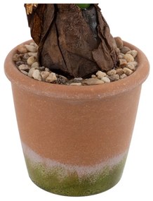 Műnövény (magasság 29 cm) Hyacinth – Ixia