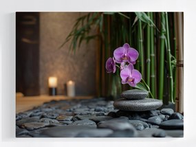 Vászonkép Canvas Orchidea Bambusz Zen Spa Kövek Relaxáció 100x75