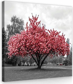 Vászonkép 40x40 Piros fa virágzó fa tavasz természet park nyugalom