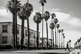 Poszter 91,5x61cm Séta a pálmafák árnyékában