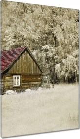 Vászonkép 80x120 Rönkház Bale