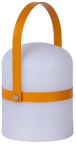 Lucide 06802/01/43 - LED Kültéri dimmelhető lámpa LITTLE JOE LED/0,3W/3,7V IP44