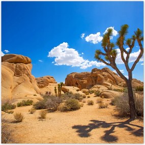 Fotótapéták flizelina 208x208 Sivatagi táj