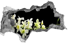 3d lyuk fal dekoráció Orchidea nd-b-4005190