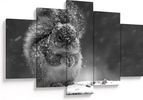 Kép - Mókus télen (150x105 cm)