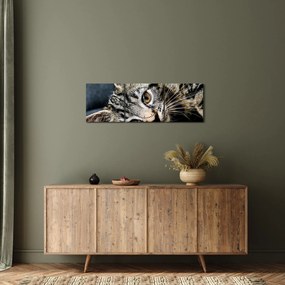 Kép - Cica (órával) (90x30 cm)
