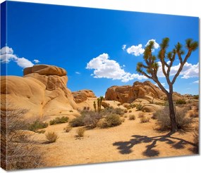 Vászonkép 50x40 Sivatagi táj