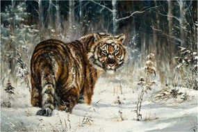 Kép - tigris a havas erdőben, olajfestmény (90x60 cm)