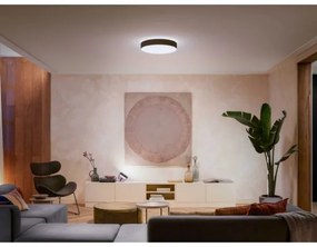 Philips - dimmelhető LED mennyezeti lámpa Hue ENRAVE L LED/33,5W/230V fekete+ távirányító